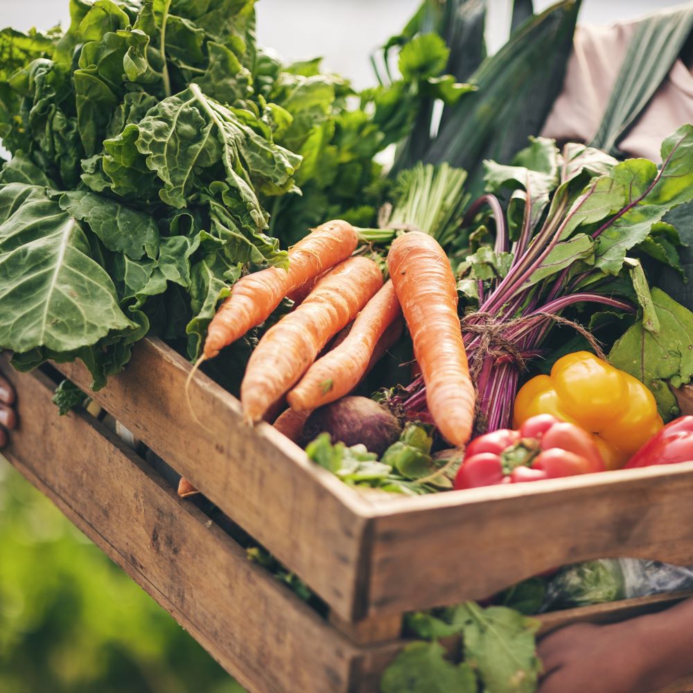 Långsamma och snabba kolhydrater – Förstå skillnaden och optimera din kost