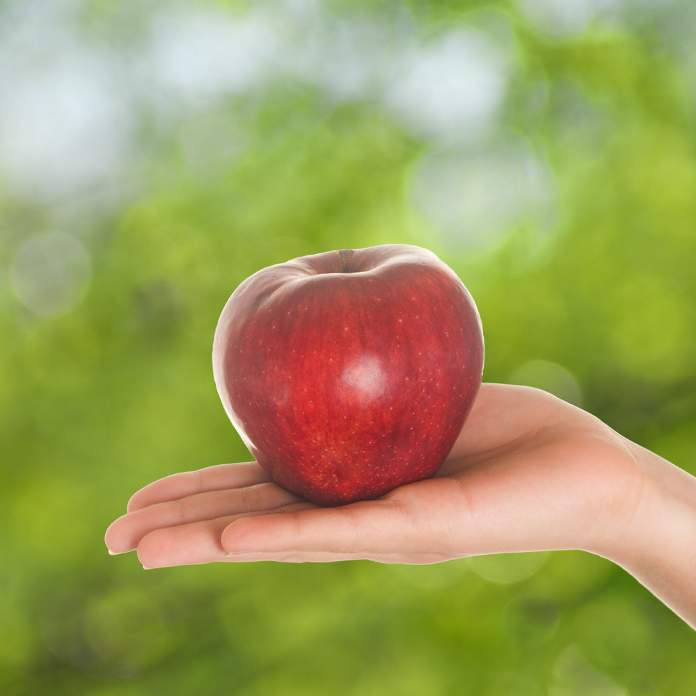 Viktiga fibrer för matsmältningen